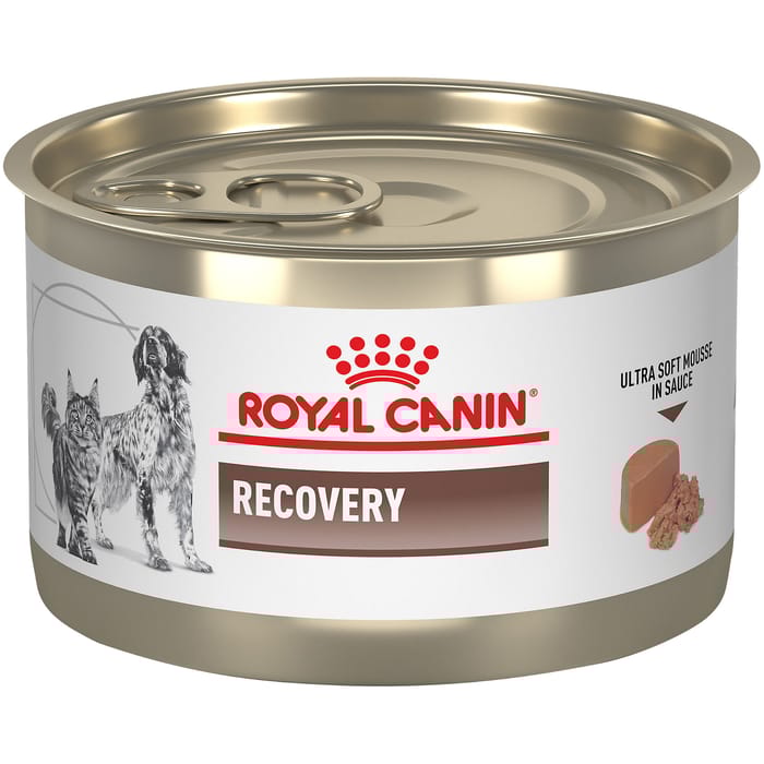 Royal Canin Veterinary Diet Recovery Ultra Soft Mousse in Sauce Wet Cat & Dog Food - 5.1 oz Cans - Case of 24 product detail number 1.0