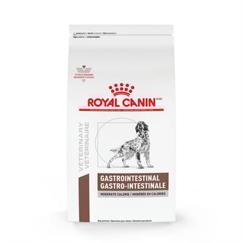 Royal Canin Veterinary Diet Canine Gastrointestinal Moderate Calorie Dry Dog Food - 22 lb Bag-product-tile