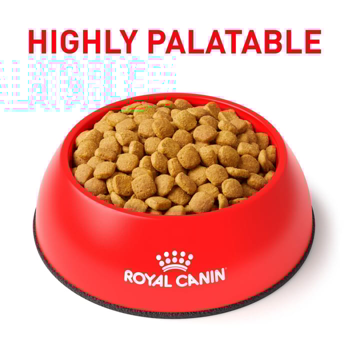 67678 product detail number 1.0