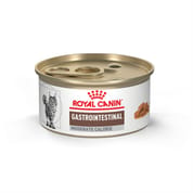 Royal Canin Veterinary Diet Feline Gastrointestinal Moderate Calorie Thin Slices in Gravy