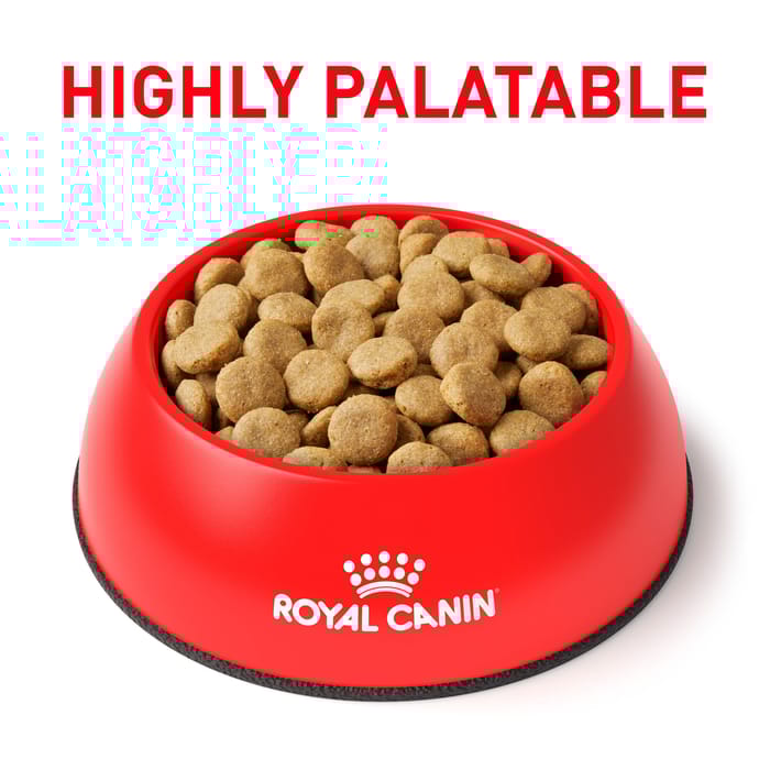 67712 product detail number 1.0