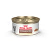 Royal Canin Veterinary Diet Feline Gastrointestinal Fiber Response Thin Slices in Gravy Wet Cat Food - 3 oz Cans - Case of 24