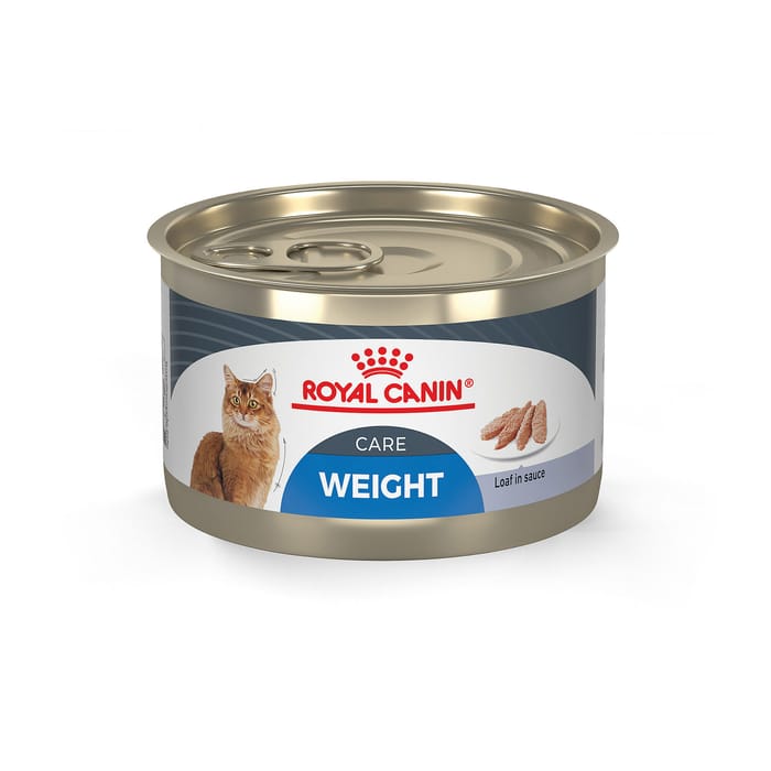 Royal Canin Feline Care Nutrition Weight Care Loaf In Sauce Adult Wet Cat Food - 5.1 oz Cans - Case of 24 product detail number 1.0