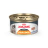 Royal Canin Feline Care Nutrition Hair & Skin Care Loaf In Sauce Adult Wet Cat Food - 3 oz Cans - Case of 24