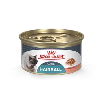 Royal Canin Feline Care Nutrition Hairball Care Thin Slices In Gravy Adult Wet Cat Food - 3 oz Cans - Case of 24-product-tile