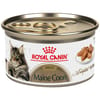 Royal Canin Feline Breed Nutrition Maine Coon Thin Slices in Gravy Adult Wet Cat Food - 3 oz Cans - Case of 24