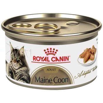 Royal Canin Feline Breed Nutrition Maine Coon Thin Slices in Gravy Adult Wet Cat Food - 3 oz Cans - Case of 24-product-tile