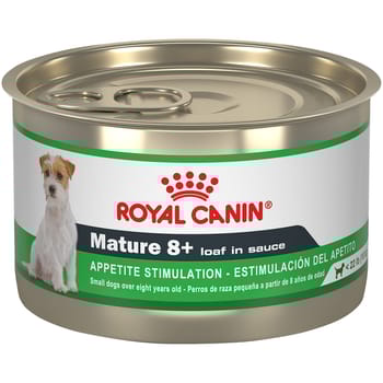 Royal Canin Canine Health Nutrition Mature 8+ Loaf in Sauce Wet Dog Food - 5.2 oz Cans - Case of 24-product-tile