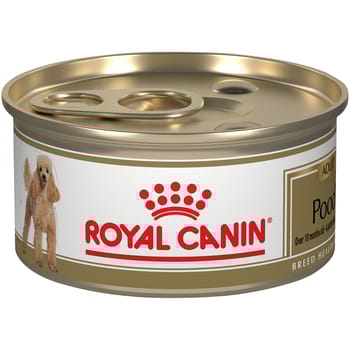 Royal Canin Breed Health Nutrition Poodle Adult Loaf in Sauce Wet Dog Food - 3 oz Cans - Case of 24-product-tile