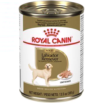 Royal Canin Breed Health Nutrition Labrador Retriever Adult Loaf in Sauce Wet Dog Food - 13.5 oz Cans - Case of 12-product-tile