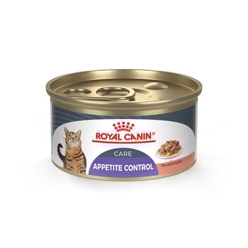 Royal Canin Feline Care Nutrition Appetite Control Care Thin Slices in Gravy Adult Wet Cat Food - 3 oz Cans - Case of 24-product-tile