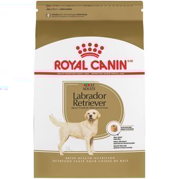 Royal Canin Breed Health Nutrition Labrador Retriever Adult Dry Dog Food - 17 lb Bag-product-tile