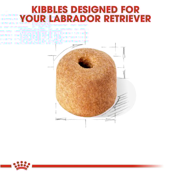 67769 product detail number 1.0