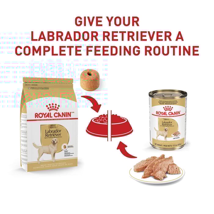 67769 product detail number 1.0