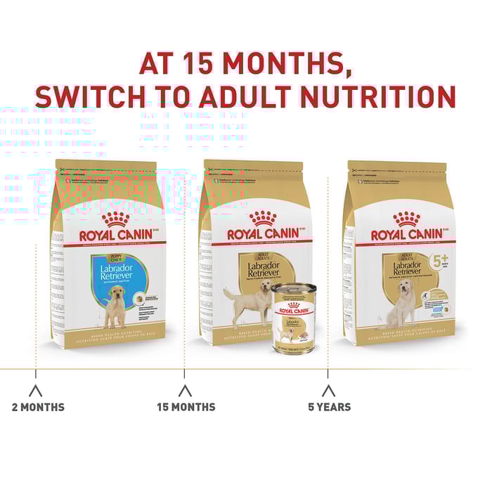 67769 product detail number 1.0