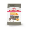 Royal Canin Canine Care Nutrition Large Breed Sensitive Skin Care Adult Dry Dog Food - 30 lb Bag