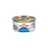 Royal Canin Feline Health Nutrition Indoor Adult 7+ Morsels in Gravy Wet Cat Food - 3 oz Cans - Case of 24