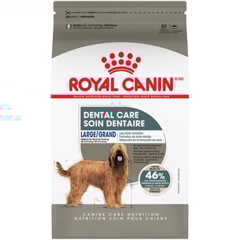 Royal Canin Canine Care Nutrition Large Breed Dental Care Adult Dry Dog Food - 30 lb Bag-product-tile