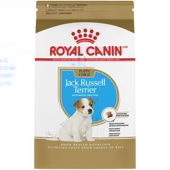 Royal Canin Breed Health Nutrition Jack Russell Terrier Puppy Dry Dog Food-product-tile