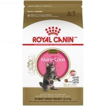 Royal Canin Feline Breed Nutrition Maine Coon Kitten Dry Cat Food - 3 lb Bag-product-tile