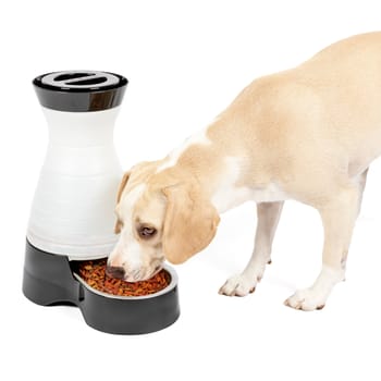 PetSafe Healthy Pet Food Station Gravity Feeder - Medium-product-tile