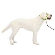 PetSafe Gentle Leader Headcollar No-Pull Dog Collar - Large - Apple Green
