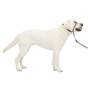 PetSafe Gentle Leader Headcollar No-Pull Dog Collar - Large - Charcoal