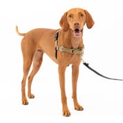PetSafe Easy Walk Harness No Pull Dog Harness - Medium - Tan/Brown