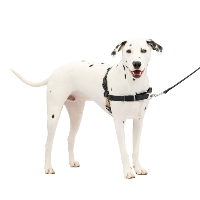 PetSafe Easy Walk Harness No Pull Dog Harness - Medium/Large - Black/Silver product detail number 1.0