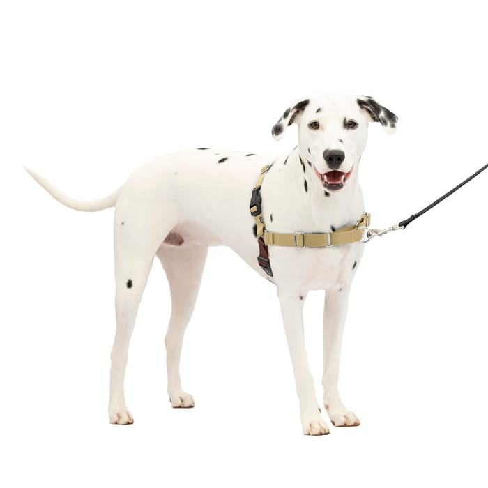 PetSafe Easy Walk Harness No Pull Dog Harness - Medium/Large - Tan/Brown product detail number 1.0