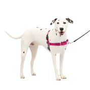 PetSafe Easy Walk Harness No Pull Dog Harness - Medium/Large - Raspberry Pink/Grey