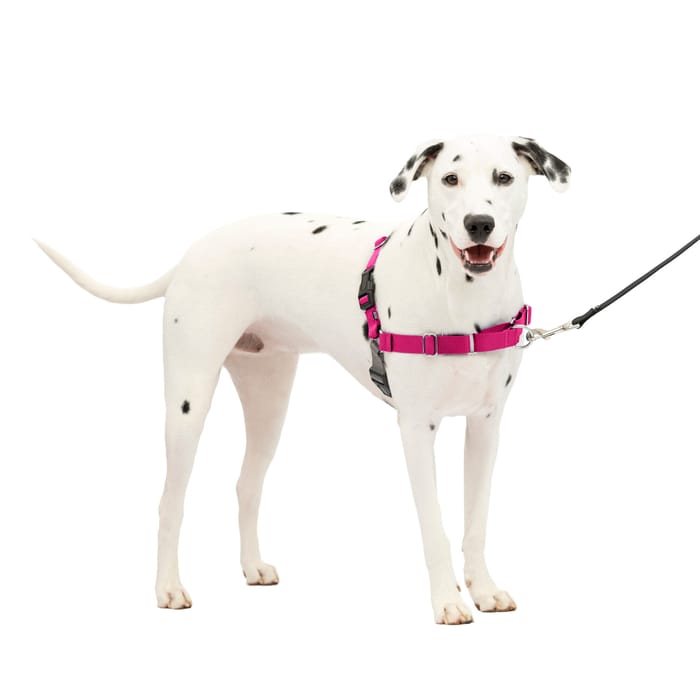PetSafe Easy Walk Harness No Pull Dog Harness - Medium/Large - Raspberry Pink/Grey product detail number 1.0