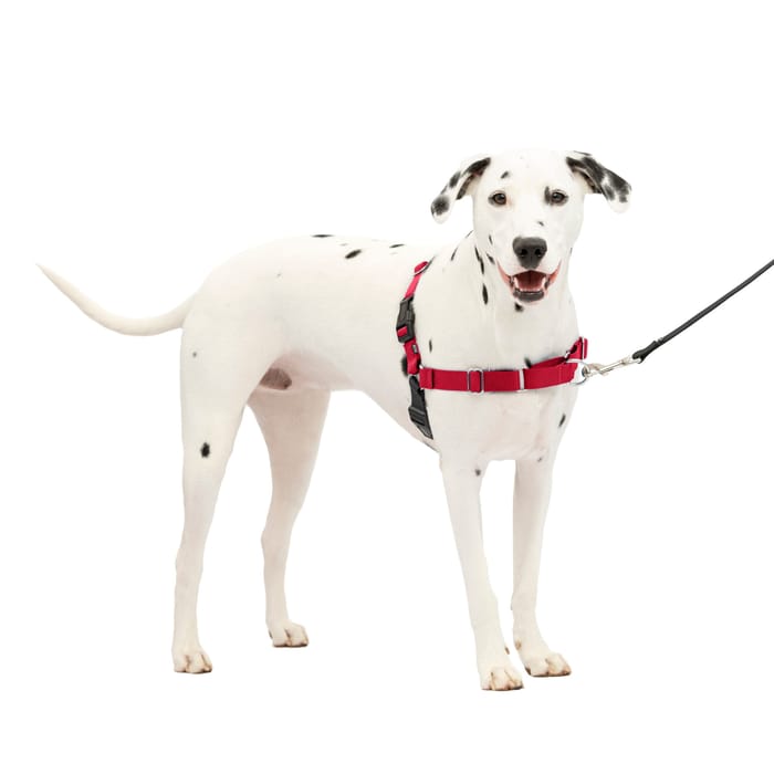 PetSafe Easy Walk Harness No Pull Dog Harness - Medium/Large - Red/Black product detail number 1.0