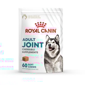 Royal Canin Joint Support Soft Chews Supplement for Adult Dogs - 360 Count - Bundle of 6-product-tile