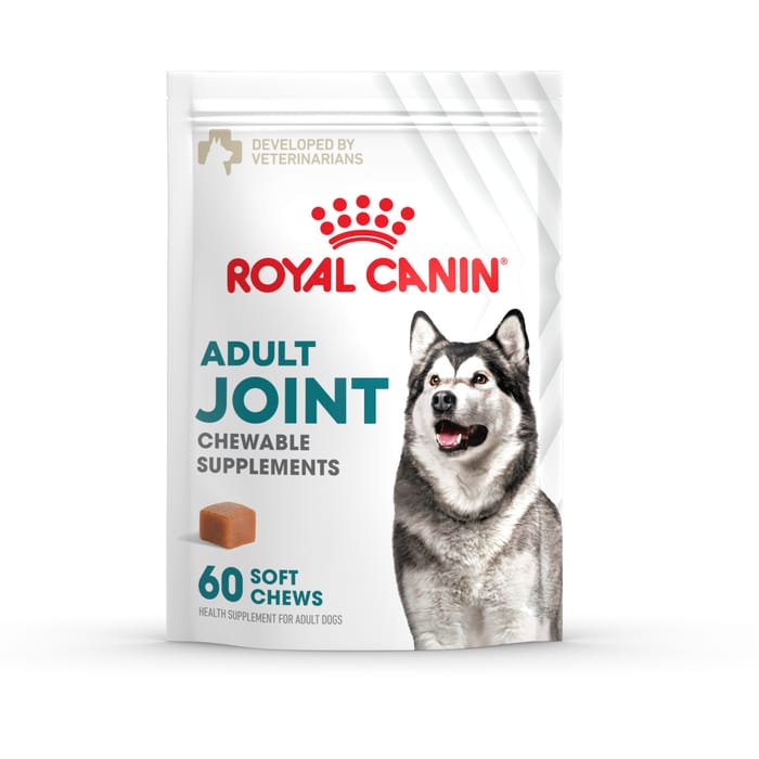 Royal Canin Joint Support Soft Chews Supplement for Adult Dogs - 360 Count - Bundle of 6 product detail number 1.0