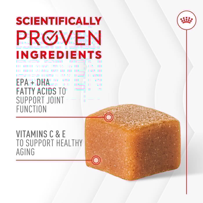 68429 product detail number 1.0