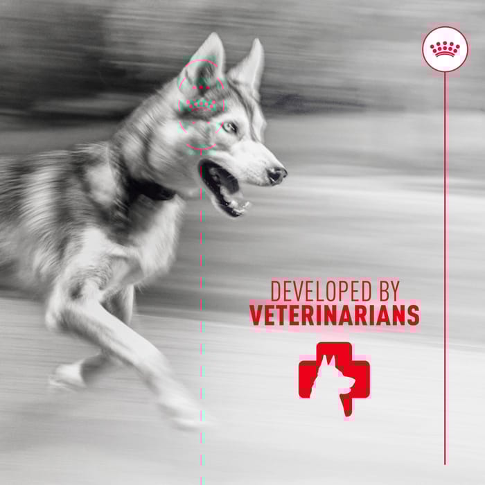 68429 product detail number 1.0