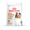 Royal Canin Skin & Coat Support Soft Chews Supplement for Adult Dogs - 360 Count - Bundle of 6