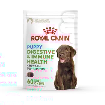 Royal Canin Puppy Digestive & Immune Health Soft Chews Supplement for Dogs-product-tile