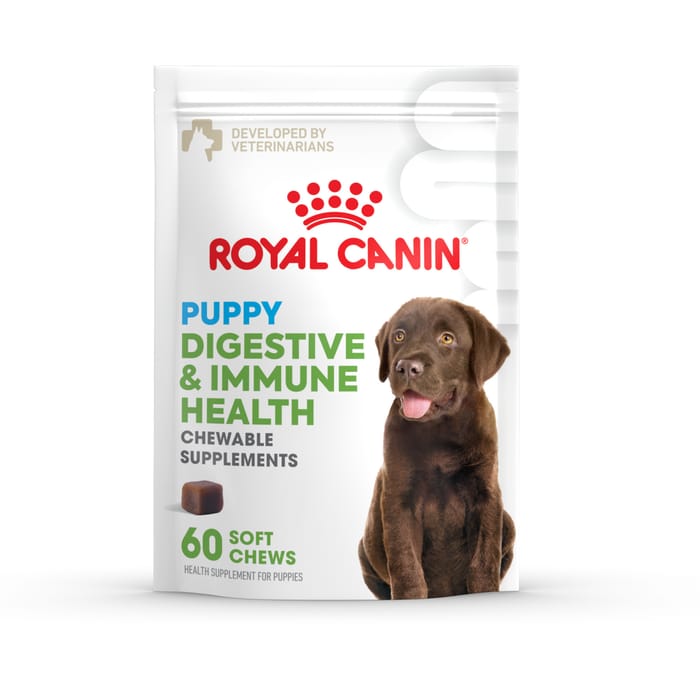 Royal Canin Puppy Digestive & Immune Health Soft Chews Supplement for Dogs - 360 Count - Bundle of 6 product detail number 1.0