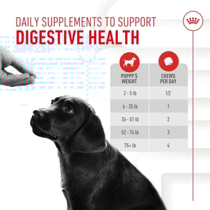 68433 product detail number 1.0