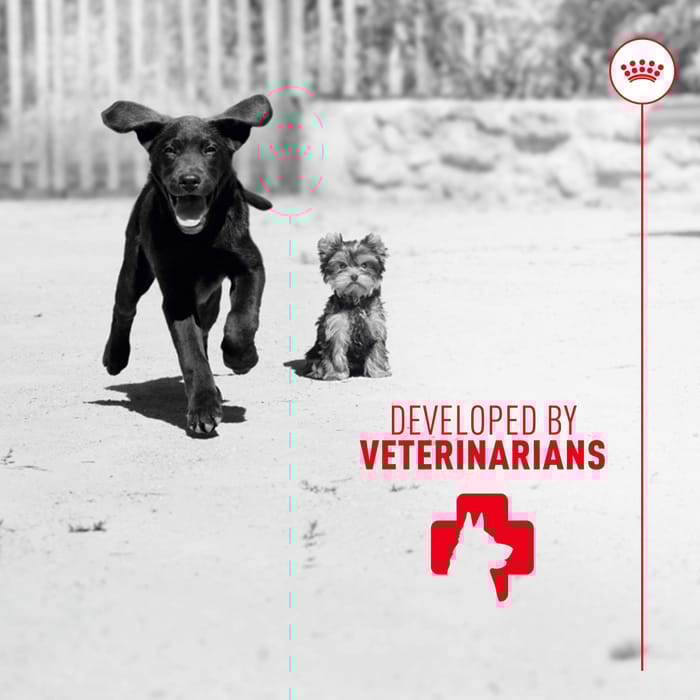 68433 product detail number 1.0