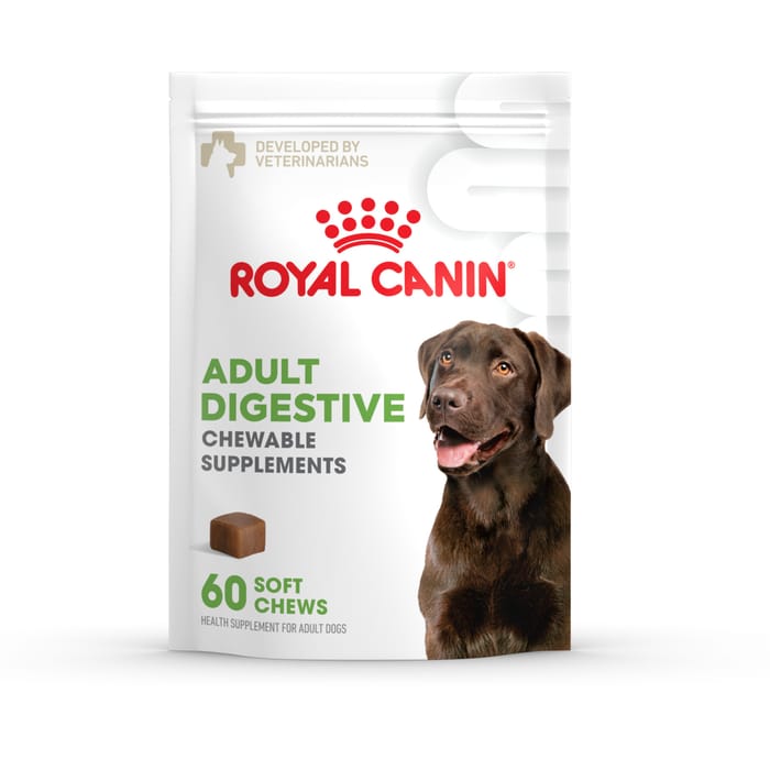 Royal Canin Digestive Soft Chews Supplement for Adult Dogs - 360 Count - Bundle of 6 product detail number 1.0