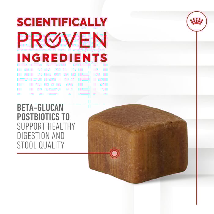 68434 product detail number 1.0