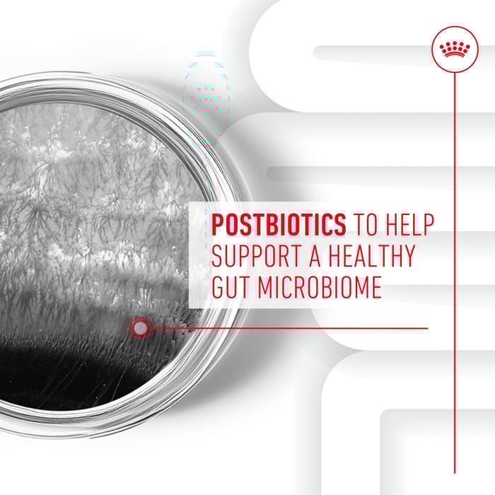 68434 product detail number 1.0