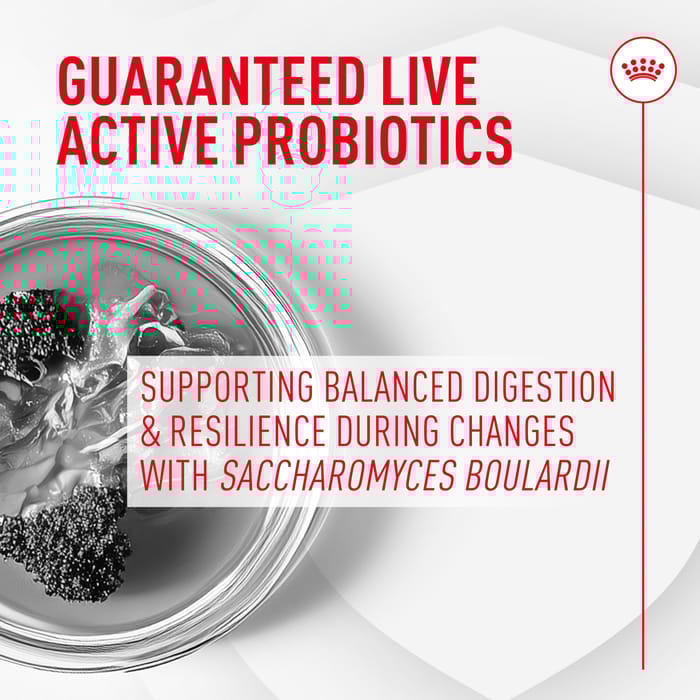 68435 product detail number 1.0