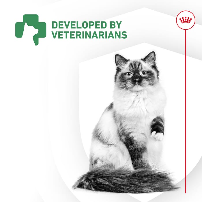 68435 product detail number 1.0