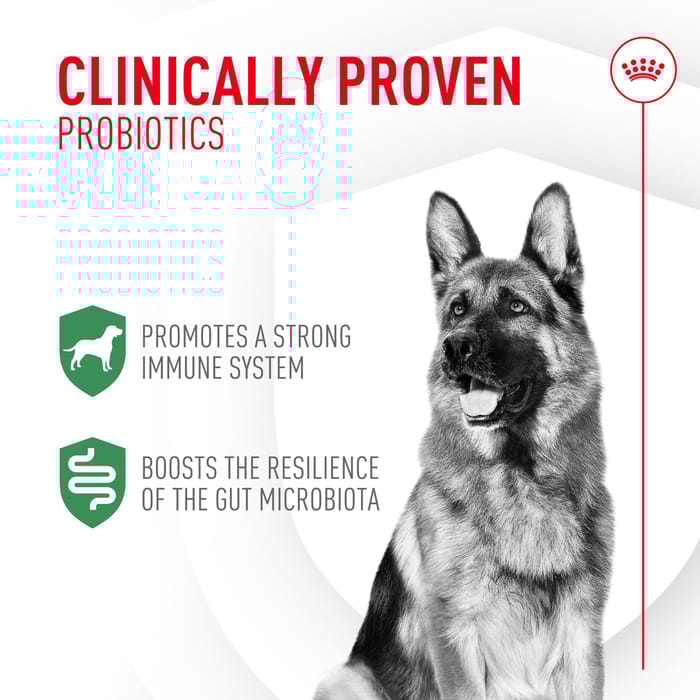 68436 product detail number 1.0