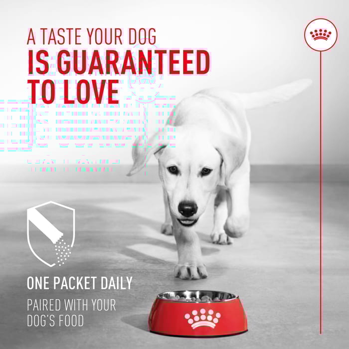 68436 product detail number 1.0