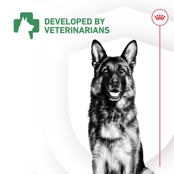 68436 product detail number 1.0